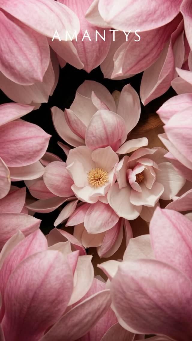 L’instant de la floraison.
La révélation d’un savoir-faire.
La collection éclot,
dévoilant chaque pièce dans toute sa lumière.
Venez la découvrir dans notre showroom
5 rue de l’Échelle, Paris 1er
Uniquement sur rendez-vous.
―
The moment of bloom.
The reveal of craftsmanship.
The collection blossoms,
unveiling each piece in its full light.
Discover it in our showroom
5 rue de l’Échelle, Paris 1
By appointment only.
#amantys #hautejoaillerie #highjewelry