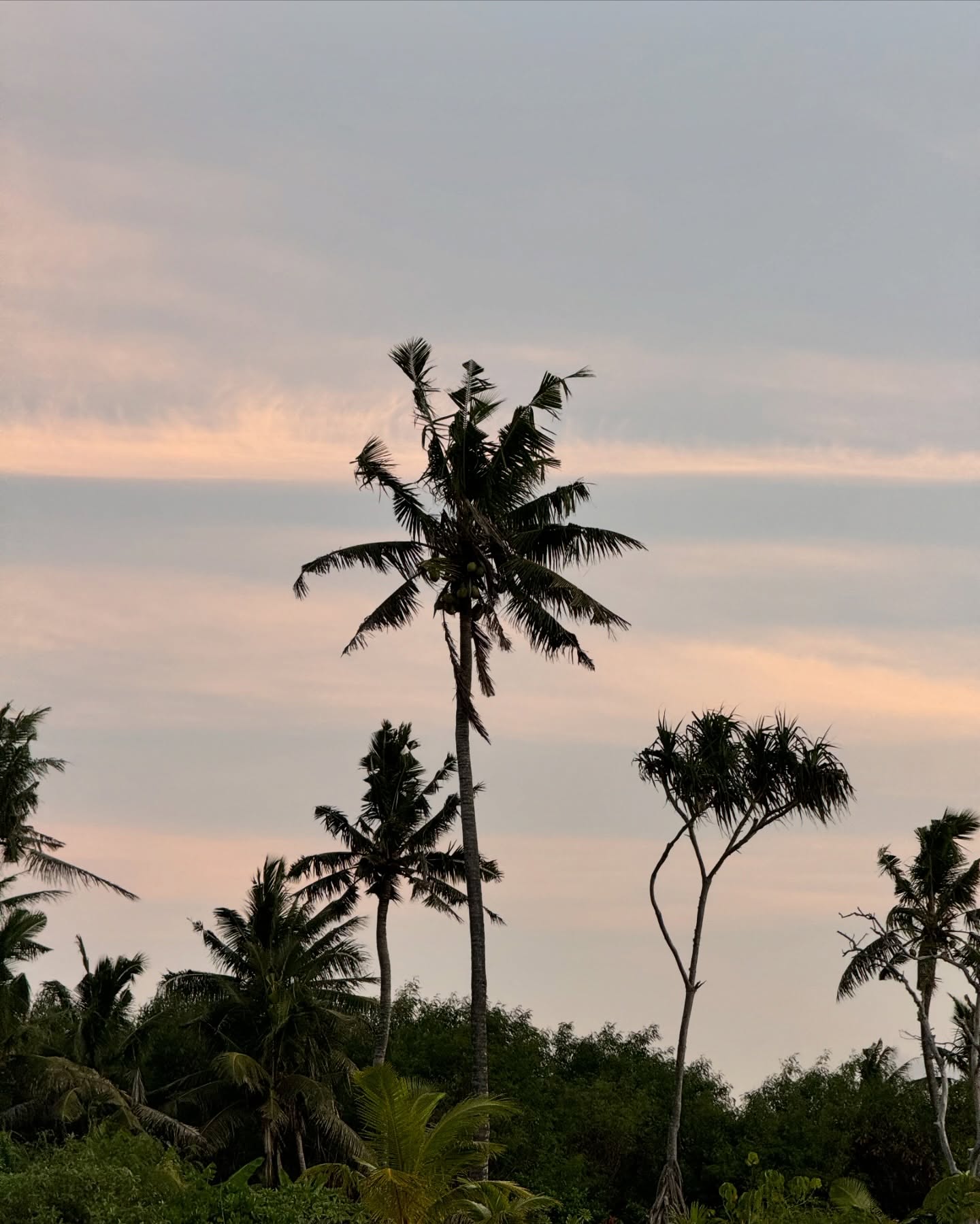 🇹🇴Tongai Királyság🇹🇴
A világ egyik legritkábban látogatott országa. És mi 6 éves ikrekkel, és egy Dravet-szindrómás kislánnyal jutottunk el ide. Ez ténylegesen a paradicsom volt 🌿 A zöld zöldebb, mint bárhol. A naplemente szebb, mint bárhol. A szívem csordultig tele.🙏🏼🥹
Nem tudom szavakkal kifejezni, mit érzek. Otthonról, a kanapéról megálmodtam. A lehetetlent.
És itt vagyunk, Tongán. Ahol a szállásadó egész kókuszdiókat készít be a hűtőbe. Ahol banán terem a kertben. És ahol a helyiek szelfiznek velünk, mert annyira ritka, hogy turistákkal találkoznak - főleg magyarokkal 🥹
Ez már több, mint hála, amit érzek. Sokszor azért is hálás vagyok, ha nem kòrházban kell feküdnöm Miával, hanem otthon lehetek.
De megtanultam, hogy amíg nem kórházban vagyunk, merni kell nagyot álmodni. És néha még annál is nagyobbat.✨🌎
Köszönöm, hogy a családommal eljuthattam Tongára 🙏🏼🥹😭🇹🇴🌴
#utazoanya