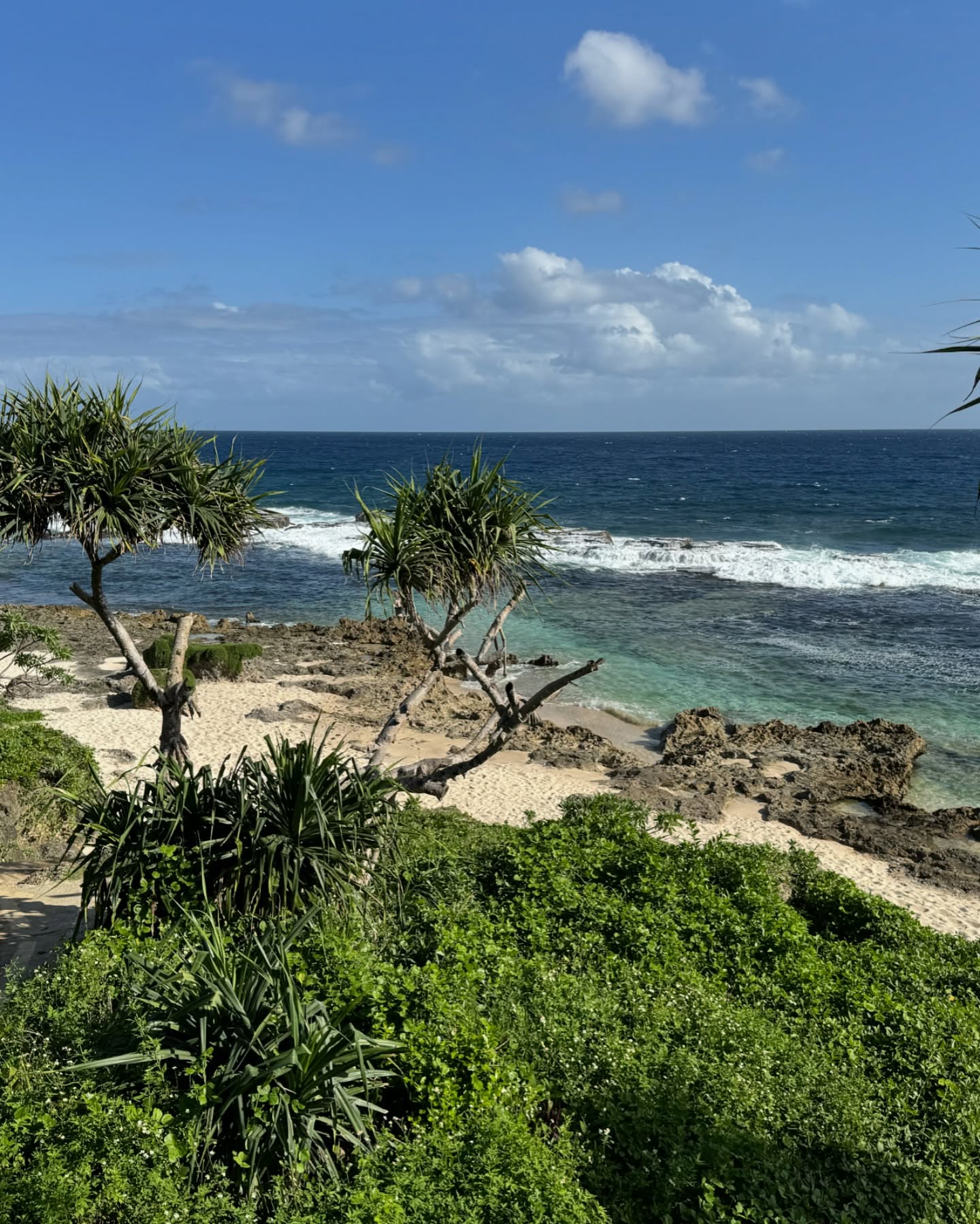 🇹🇴Tongai Királyság🇹🇴
A világ egyik legritkábban látogatott országa. És mi 6 éves ikrekkel, és egy Dravet-szindrómás kislánnyal jutottunk el ide. Ez ténylegesen a paradicsom volt 🌿 A zöld zöldebb, mint bárhol. A naplemente szebb, mint bárhol. A szívem csordultig tele.🙏🏼🥹
Nem tudom szavakkal kifejezni, mit érzek. Otthonról, a kanapéról megálmodtam. A lehetetlent.
És itt vagyunk, Tongán. Ahol a szállásadó egész kókuszdiókat készít be a hűtőbe. Ahol banán terem a kertben. És ahol a helyiek szelfiznek velünk, mert annyira ritka, hogy turistákkal találkoznak - főleg magyarokkal 🥹
Ez már több, mint hála, amit érzek. Sokszor azért is hálás vagyok, ha nem kòrházban kell feküdnöm Miával, hanem otthon lehetek.
De megtanultam, hogy amíg nem kórházban vagyunk, merni kell nagyot álmodni. És néha még annál is nagyobbat.✨🌎
Köszönöm, hogy a családommal eljuthattam Tongára 🙏🏼🥹😭🇹🇴🌴
#utazoanya
