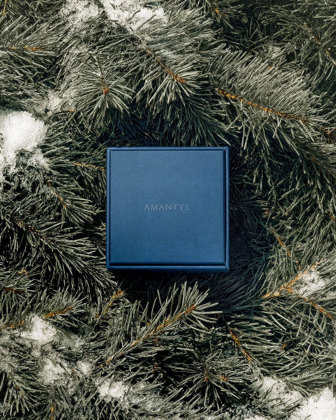 À chaque instant qui compte, Amantys est là.
Fiançailles, mariage, naissance, anniversaire… nos créations accompagnent les moments forts, ceux qui construisent une vie.
En ce 25 décembre, nous vous souhaitons de belles fêtes, entourés de ceux qui font briller votre histoire.
―
For every defining moment, Amantys is by your side.
Engagements, weddings, births, birthdays… our pieces celebrate the milestones that shape a lifetime.
On this December 25th, we wish you joyful holidays, surrounded by the people who light up your story.
• Paris | 5 rue de l’Échelle 75001
• Bordeaux | 4-6 Cours de l’Intendance 33000
#amantysparis #amantysbordeaux #joaillerie #momentsofjoy #celebration #finejewelry #amantys