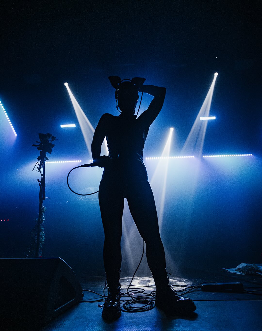 Instagram image of Isorauschenphotography Bild, Instagram image of Isorauschenphotography