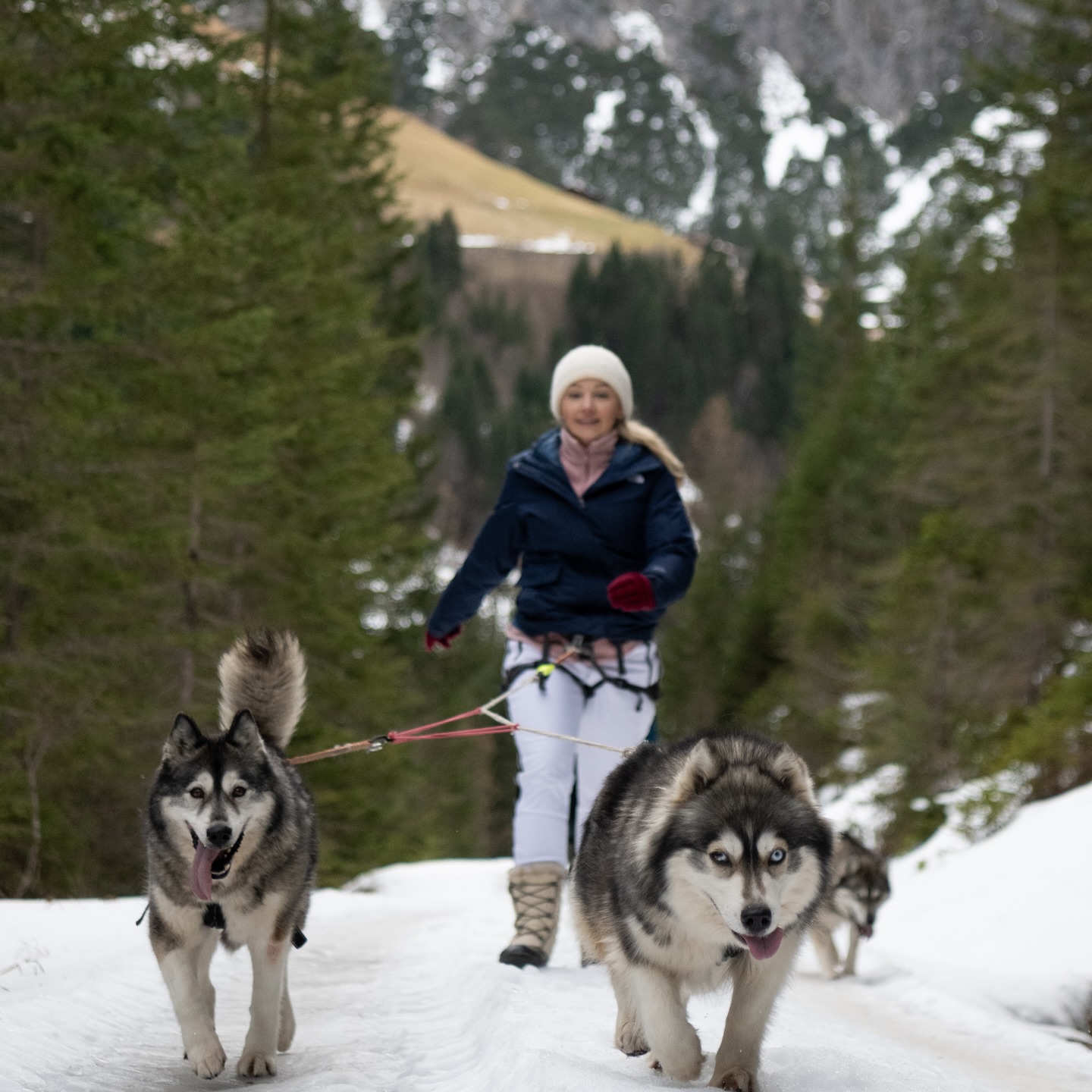 From Brazil 🇧🇷 to Vienna 🇦🇹.
.
From Vienna to the small village Gramais in the Lechtal Alps 🏔️.
.
Two weeks offtime in Europe for Eduardo and Carla.
.
At home, they keep an Alaskan Malamute 🐺, and one thing led to another — so they decided to experience an adventure with us.
.
They’ve been together for 15 years, and to give Eduardo’s marriage proposal a special atmosphere and a Nordic energy, we did what we do best: together we tapped into the freeing energy of our pack 🐺.
.
It was an honor for us.
.
Planning and bringing it all together 🥵 is one thing—sharing this moment is simply heart-touching 🥰.
.
Experience your instincts 🐺
color 🌈 your mind.
.
🔗 mountainhusky.com
.
🐺🏔️ @basecamp_gramais @hubslindner
📸 🐺 @tri_hannes
.
#bergschulelechtal #huskymountaineering
.
powered by
🔥 @kreatur.work
🔥 @cloudy.hinterstein
🔥 @hagan_ski
🔥 @zaniergloves
🔥 @pokusa_for_health_de
🔥 @sledwork.de
🔥 @scarpa_at
🔥 @scarpa_world
🔥 @benglerwald_berg_chaletdorf
🔥 @laerchenhoflermoos
.
#noplacetoofar
#pureskimountaineering
#mymountainpassion