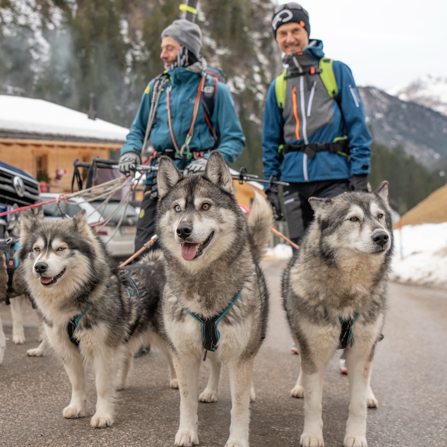 Ralph loves skitouring ⛷️🏔️
.
he grew up with animals 🐴🐺
.
and getting a year older 💫🥳
.
gave reason to his friends and family 🔥♥️
.
to surprise him with a voucher for a day full of mountain and husky experience.
.
including photo & video shooting
📸🎥 @tri_hannes
.
What about you and your next anniversary ?
.
Experience your instincts 🐺
color 🌈 your mind.
.
🔗 mountainhusky.com
.
🐺🏔️ @basecamp_gramais @hubslindner
#bergschulelechtal #huskymountaineering
.
powered by
🔥 @cloudy.hinterstein
🔥 @hagan_ski
🔥 @zaniergloves
🔥 @pokusa_for_health_de
🔥 @sledwork.de
🔥 @benglerwald_berg_chaletdorf
🔥 @hotellaerchenhoflermoos
.
#pureskimountaineering
#mymountainpassion
#mountainhusky