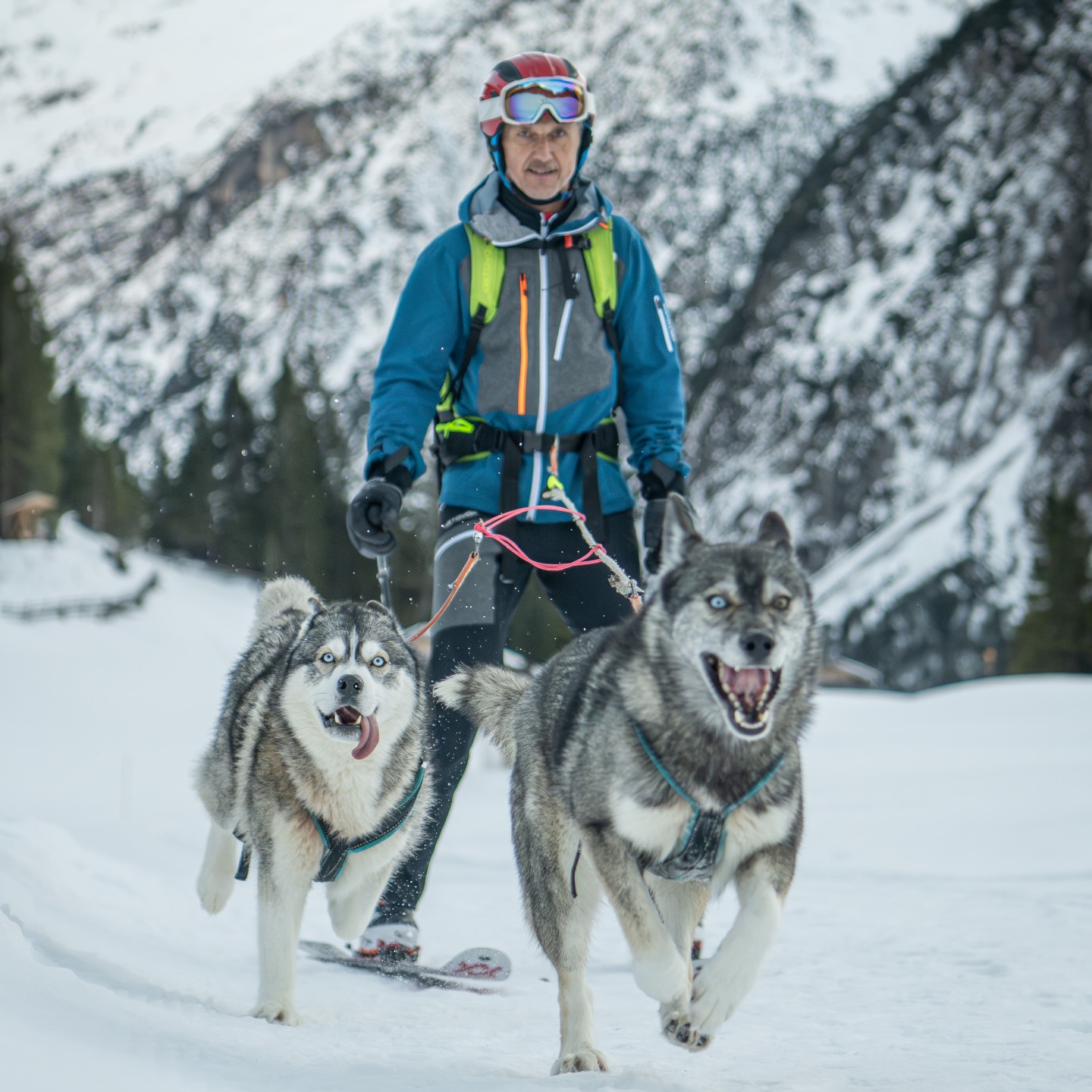 Ralph loves skitouring ⛷️🏔️
.
he grew up with animals 🐴🐺
.
and getting a year older 💫🥳
.
gave reason to his friends and family 🔥♥️
.
to surprise him with a voucher for a day full of mountain and husky experience.
.
including photo & video shooting
📸🎥 @tri_hannes
.
What about you and your next anniversary ?
.
Experience your instincts 🐺
color 🌈 your mind.
.
🔗 mountainhusky.com
.
🐺🏔️ @basecamp_gramais @hubslindner
#bergschulelechtal #huskymountaineering
.
powered by
🔥 @cloudy.hinterstein
🔥 @hagan_ski
🔥 @zaniergloves
🔥 @pokusa_for_health_de
🔥 @sledwork.de
🔥 @benglerwald_berg_chaletdorf
🔥 @hotellaerchenhoflermoos
.
#pureskimountaineering
#mymountainpassion
#mountainhusky