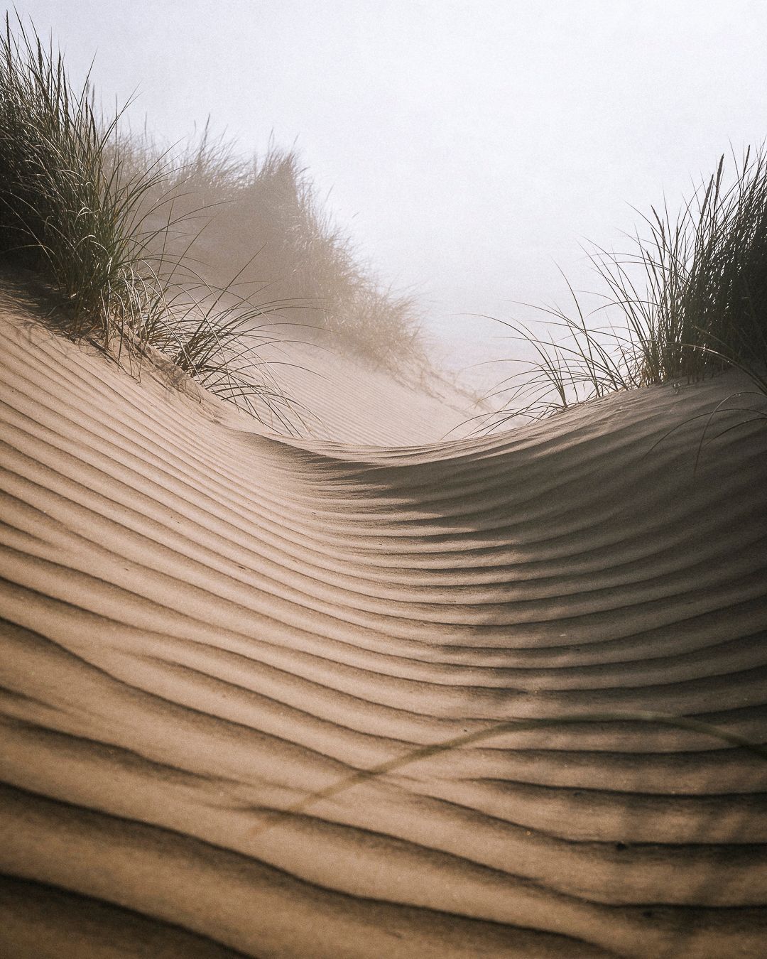 La nature impose le rythme.
Le temps crée la matière.
Un diamant naturel naît sous pression, façonné sur des millions d’années.
Force, précision, équilibre.
―
Nature sets the pace.
Time creates the material.
A natural diamond forms under pressure over millions of years.
Strength, precision, balance.
• Paris | 5 rue de l’Échelle 75001
• Bordeaux | 4-6 Cours de l’Intendance 33000
#amantysparis #amantysbordeaux #naturaldiamond #nature #joailleriesurmesure #atelierjoaillier #finejewelry #amantys