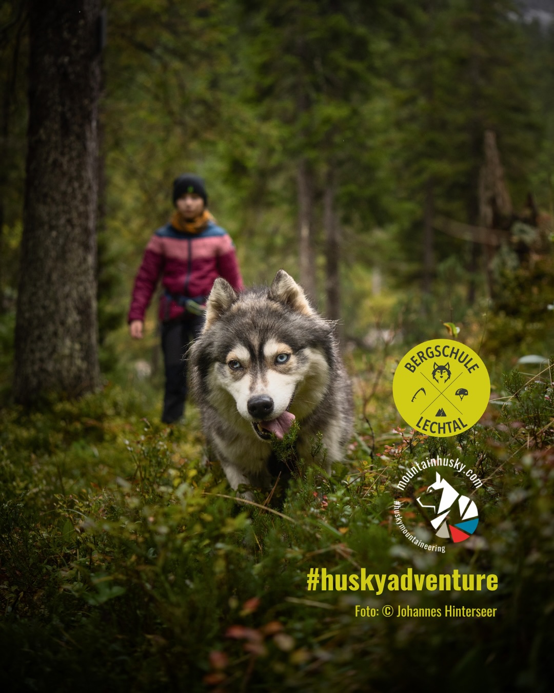 Join our trainings ๐๏ธโ๏ธ
#familyadventures and
guided tours ๐พ๐ง
.
๐ basecamp-gramais.com
๐ bergschule-lechtal.com
๐ mountainhusky.com
.
๐ธ @basecamp_gramais @hubslindner
#bergschulelechtal #mountainhusky
.
.
powered by
๐ฅ @cloudy.hinterstein
๐ฅ @hagan_ski
๐ฅ @zaniergloves
๐ฅ @pokusa_for_health_de
๐ฅ @sledwork.de
๐ฅ @benglerwald_berg_chaletdorf
๐ฅ @laerchenhoflermoos
coaching, trainings ๐๏ธโ๏ธ and guided tours ๐งโโ๏ธ
#alpineclimbing #alpinklettern
#huskyadventure #huskyadventures ๐พ๐บ
#familyadventure #familyadventures
coaching, trainings ๐๏ธโ๏ธ & guided tours ๐งโโ๏ธ
#mountaineering #bergsteigen #hochtouren
coaching, trainings ๐ง
#sportsclimbing #sportklettern
coaching, trainings ๐พ & guided tours ๐บ
#huskymountaineering
coaching, trainings ๐ง
#kidsclimbing #kinderklettern #familyadventure #familyadventures
coaching, trainings โฏ๏ธ๐งโโ๏ธ
#yogaandclimbing #yogaandclimb
coaching, trainings & guided tours
#viaferrata #klettersteig
your base, your retreat โฅ๏ธ @basecamp_gramais