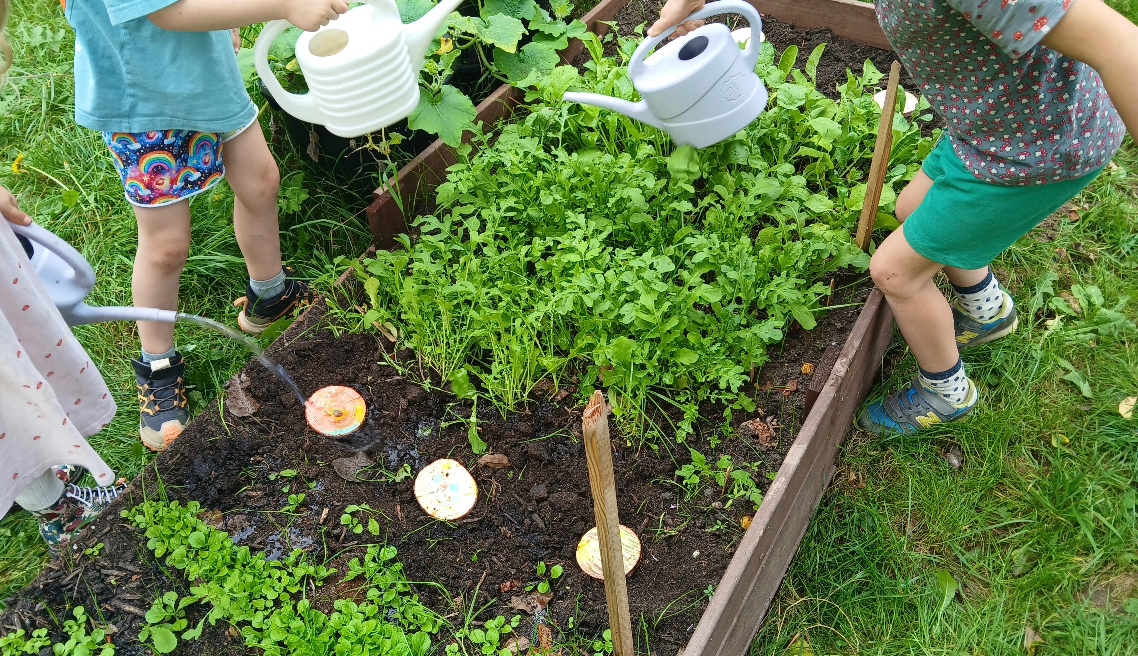 Op BSO Maansteen in Arnhem hebben ze een kleine moestuin. 🌿Nu de meeste groenten zijn geoogst....